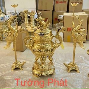 ngu su dat vang 01 5