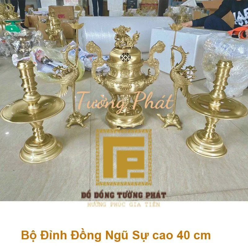 ngũ sự hoa sòi 40cm