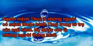 Mệnh thuỷ